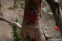 IMG_5889-1
