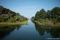 IMG_5599-1